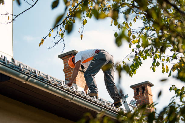 Best Flat Roof Repair Services  in Foscoe, NC