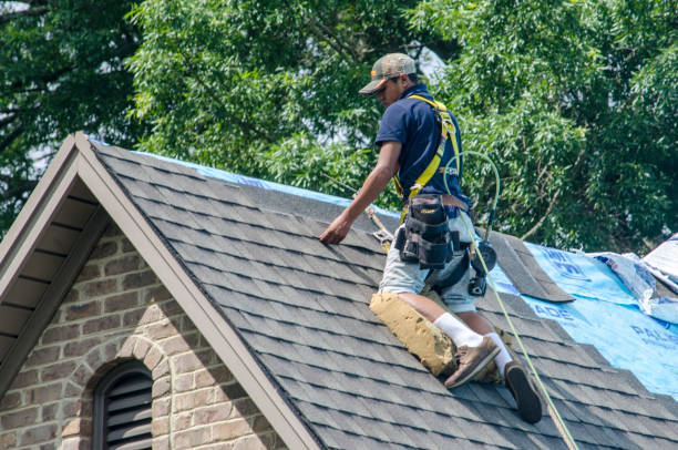 Best Storm Damage Roof Repair  in Foscoe, NC